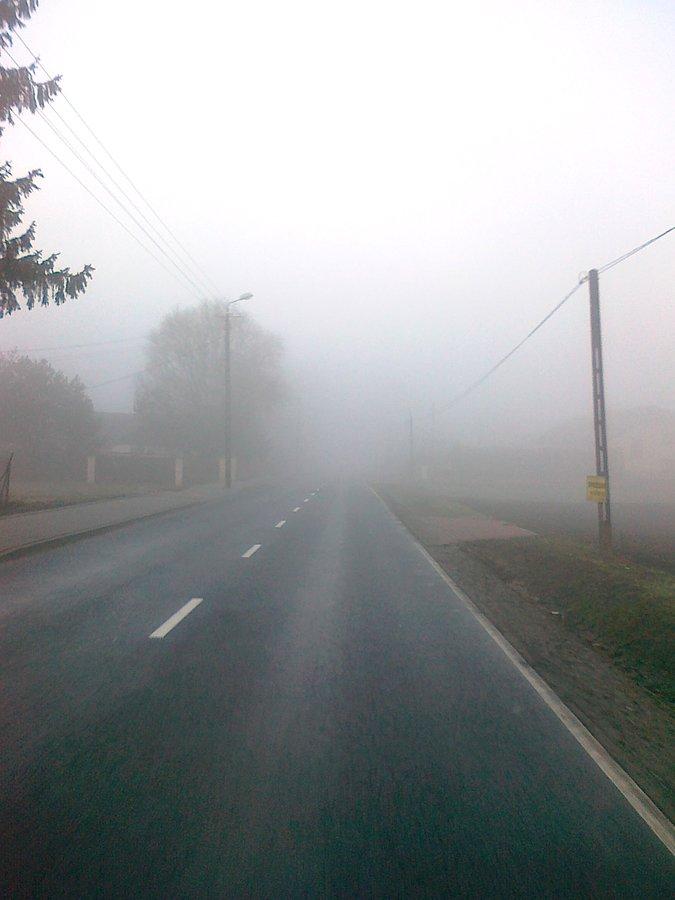 Poza miastem gęściejsza