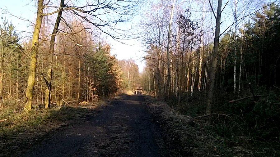 Jeszcze trochę i będzie zielono
