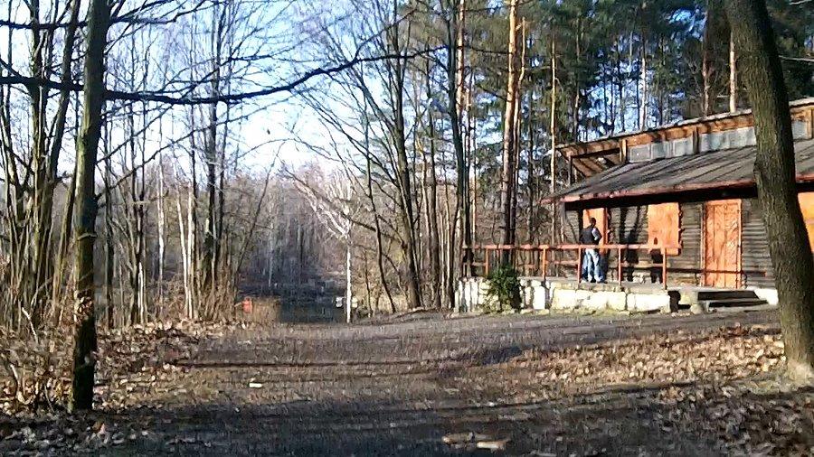 W pobliżu stawu Janina