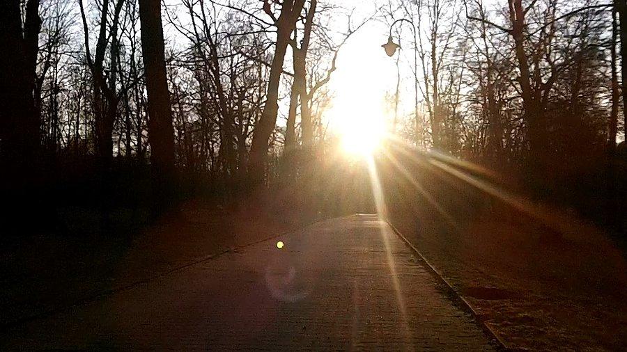 W stronę słońca - park Kościuszki