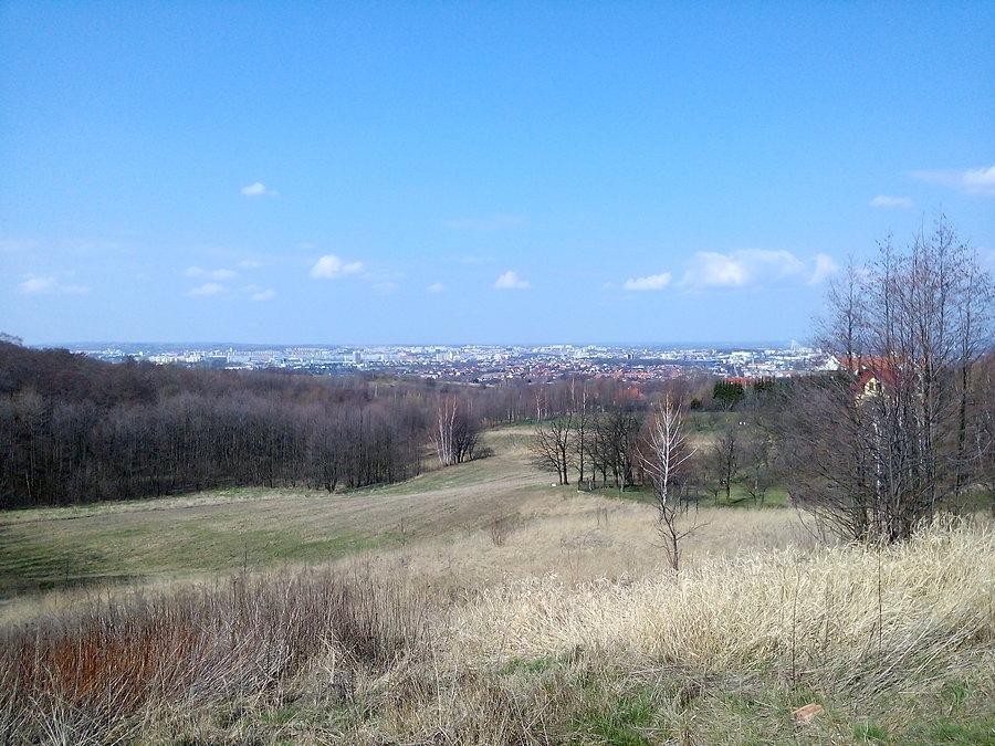Rzeszów z Roch, świąteczne spalanie