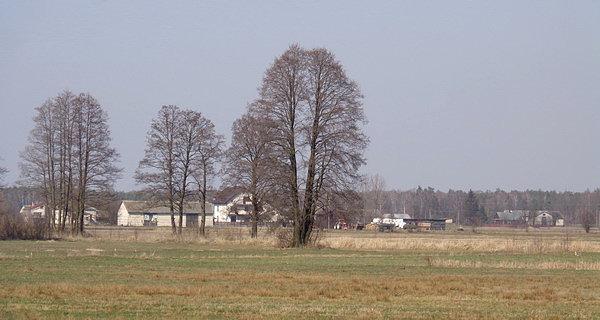 Bielany
