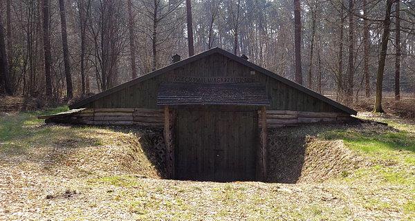Przechowalnia sadzonek w szkółce leśnej Rudka