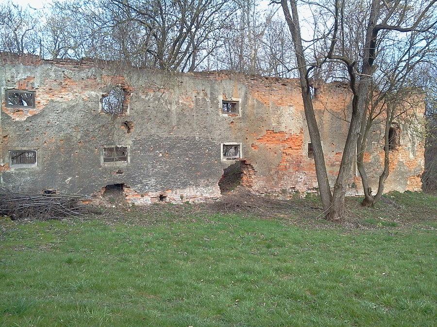 Czechowice ruiny dworu Wilczków z XVI w