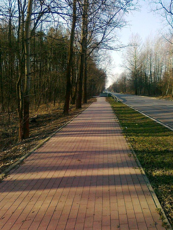 W drodze powrotnej