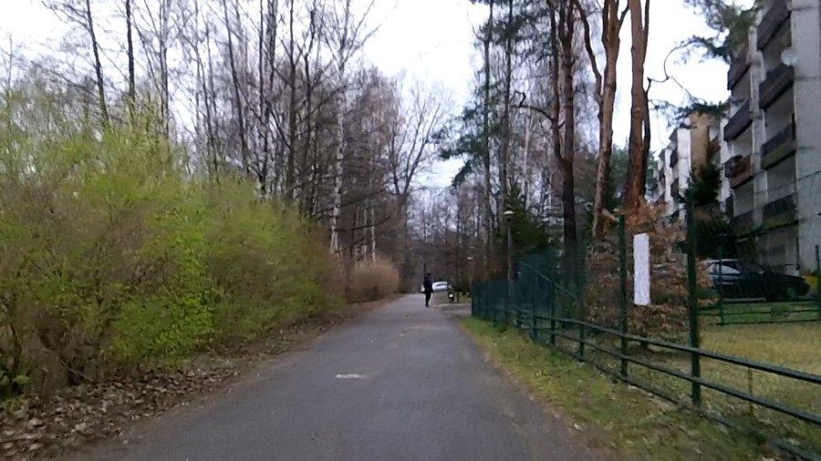 Zaczyna się wszystko zielenić
