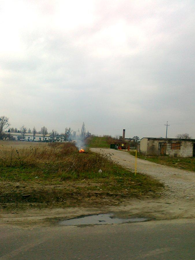 To ognisko rozpalili panowie w pomarańczowych kamizelkach sprzątający ulicę. Widać im wolno