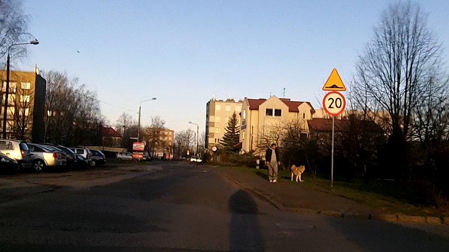 Piękny poranek... tyle, że chłodny +2