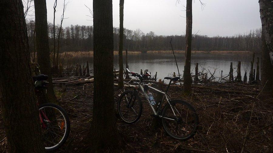 Jezioro Tomczyn. Kampinosk Park Narodowy