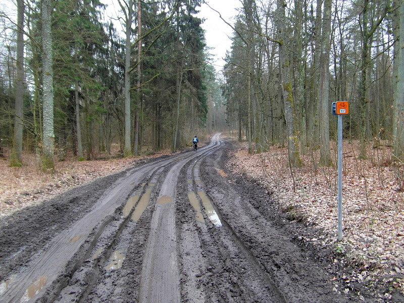Szlak Green Velo -z Lidzbarka Warmińskiego do Bartoszyc -w kierunku Galin