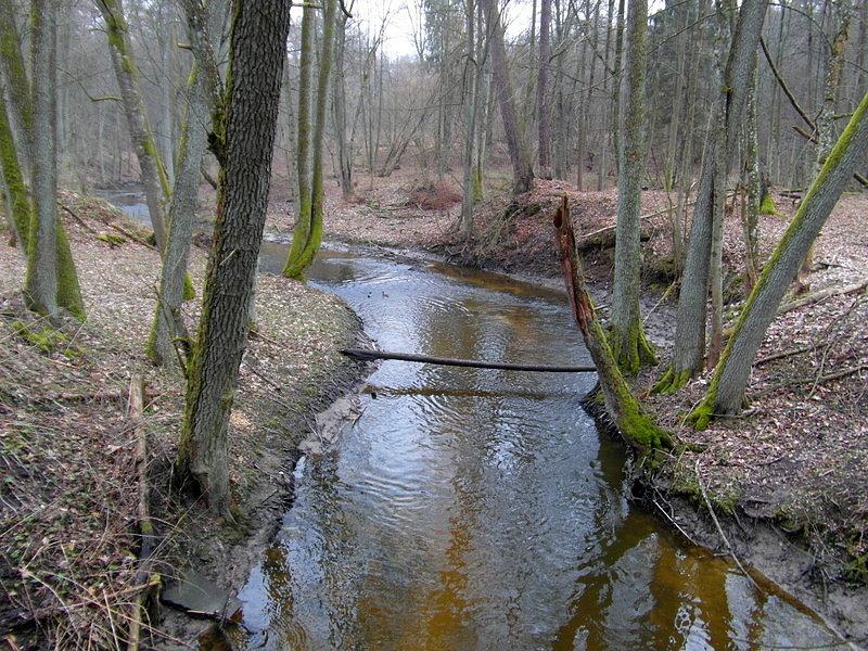 Szlak Green Velo -z Lidzbarka Warmińskiego do Bartoszyc -w kierunku Galin
