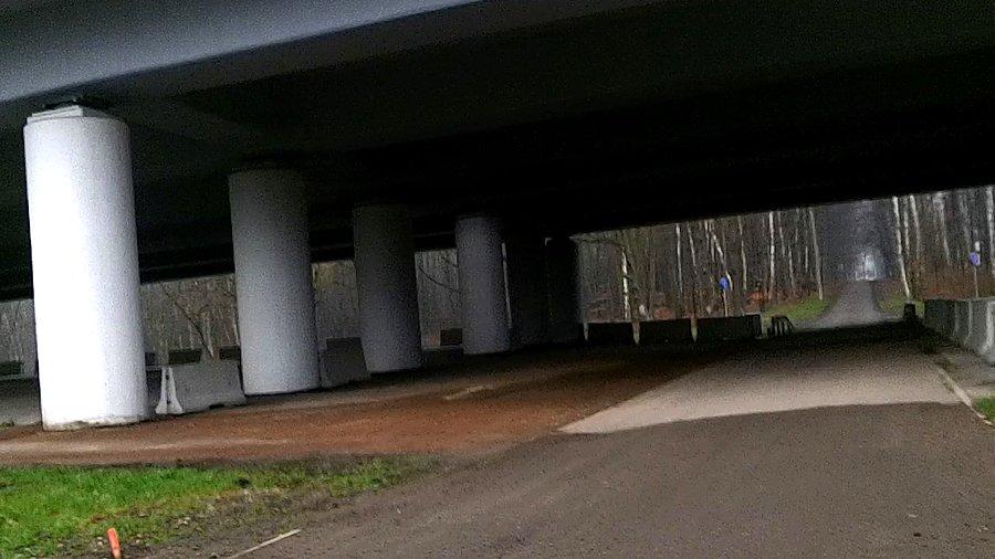 Pod wiaduktem DTŚ w lasku Makoszowskim
