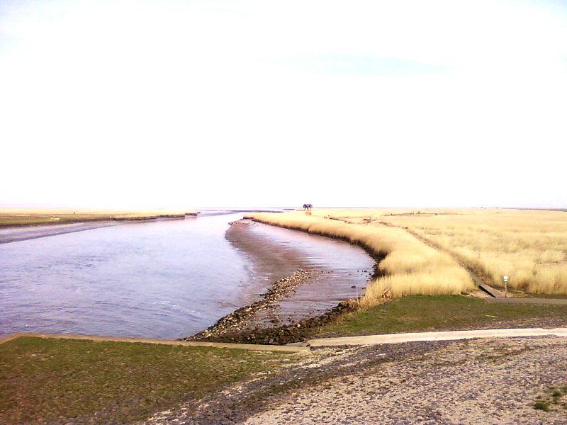 Zatoka Dollard