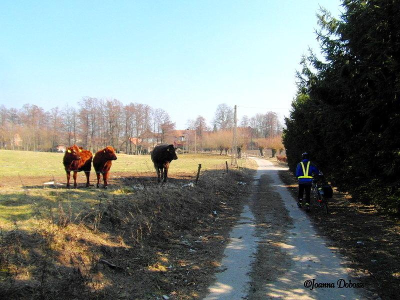 Bociania wieś Żywkowo