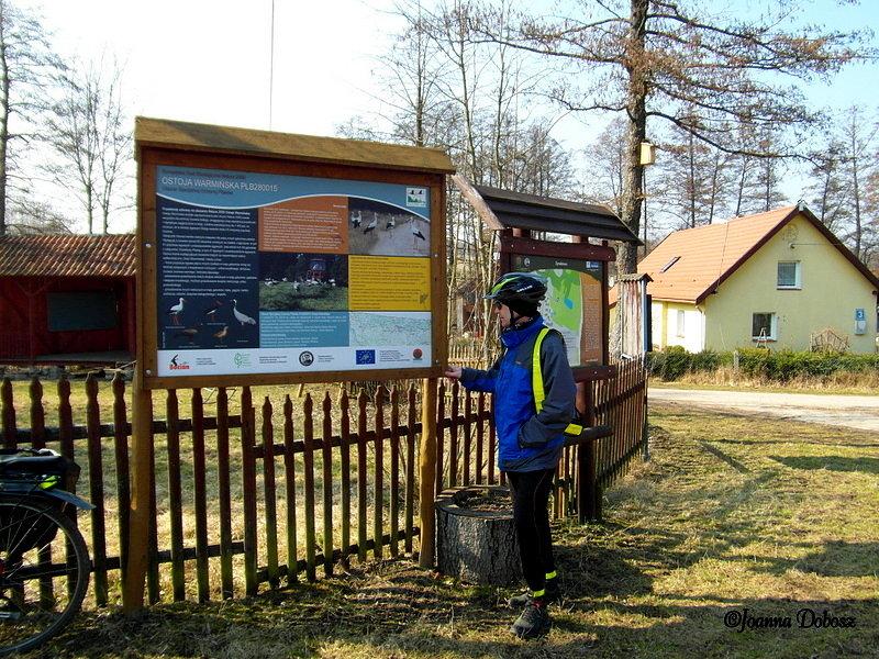 Bociania wieś Żywkowo