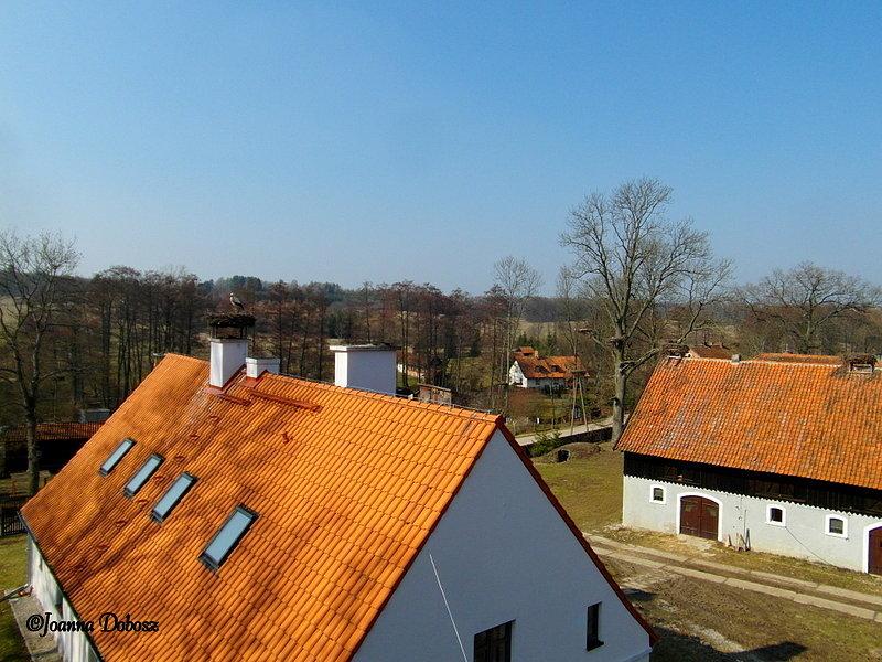 Bociania wieś Żywkowo