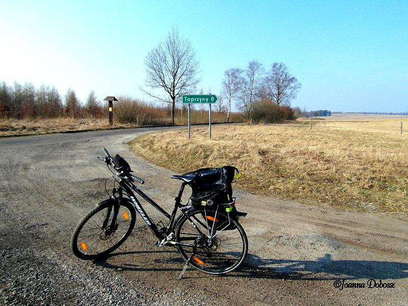 Na rozstaju dróg