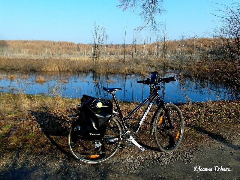 Rozlewiska przy drodze - szlak Greene Velo- z Górowa Iławeckiego do Lidzbarka Warmińskiego