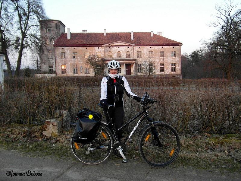 Pałac w Nerwikach