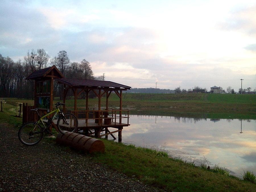 Trzanowice