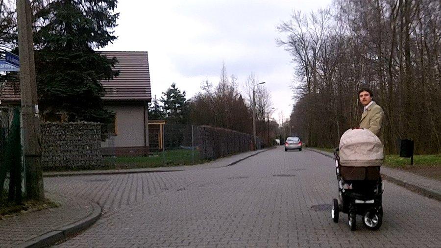 Zdziwiony na środku drogi :)