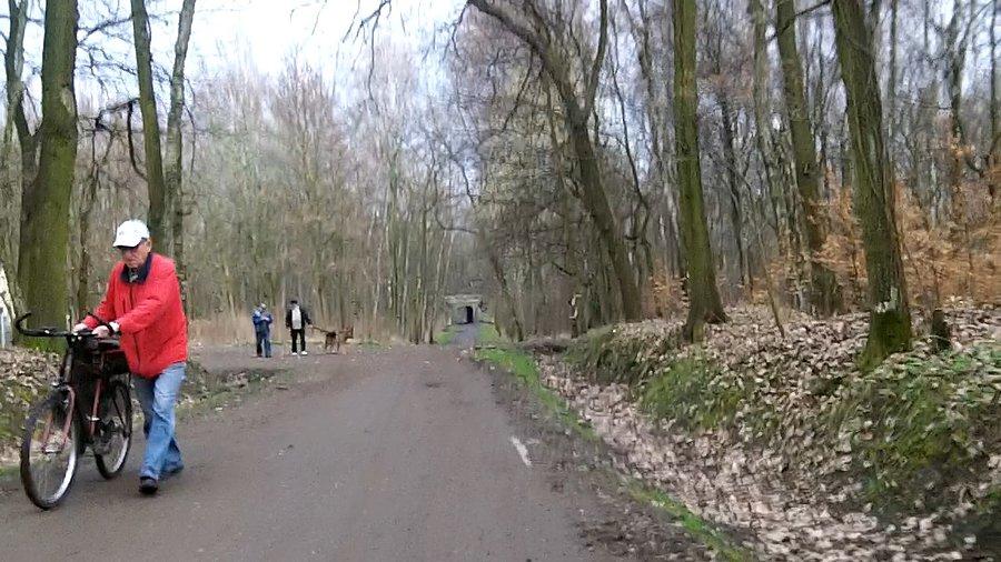 Rowerzysta w lasku Makoszowskim