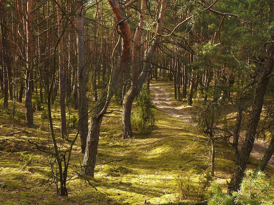Kampinoski Park Narodowy