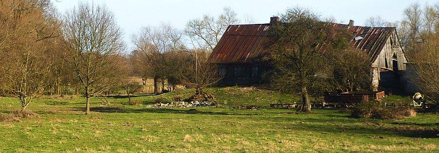 Charakterystyczna zabudowa nadwiślańska (olęderska?) - okolice Kampinoskiego Parku Narodowego