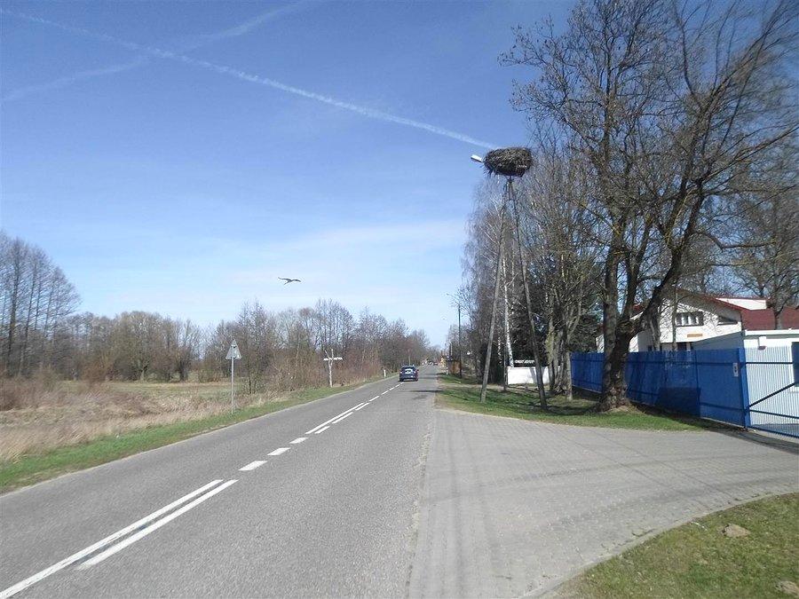 Pierwszy bociek mi uciekł