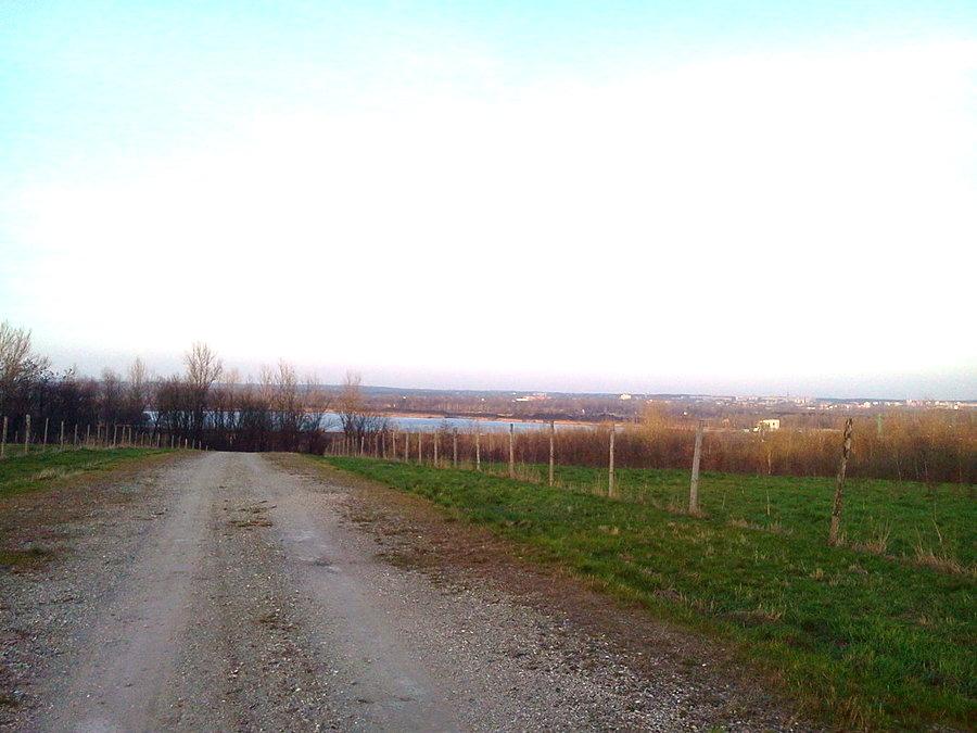 Widoczek