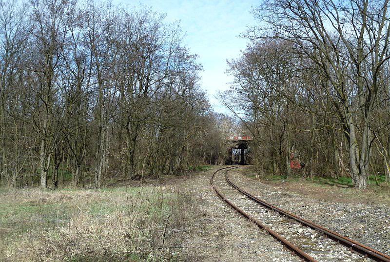 Szyny