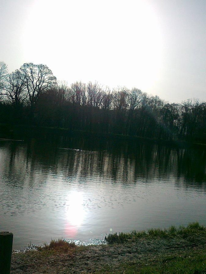 Wschód słońca nad stawem