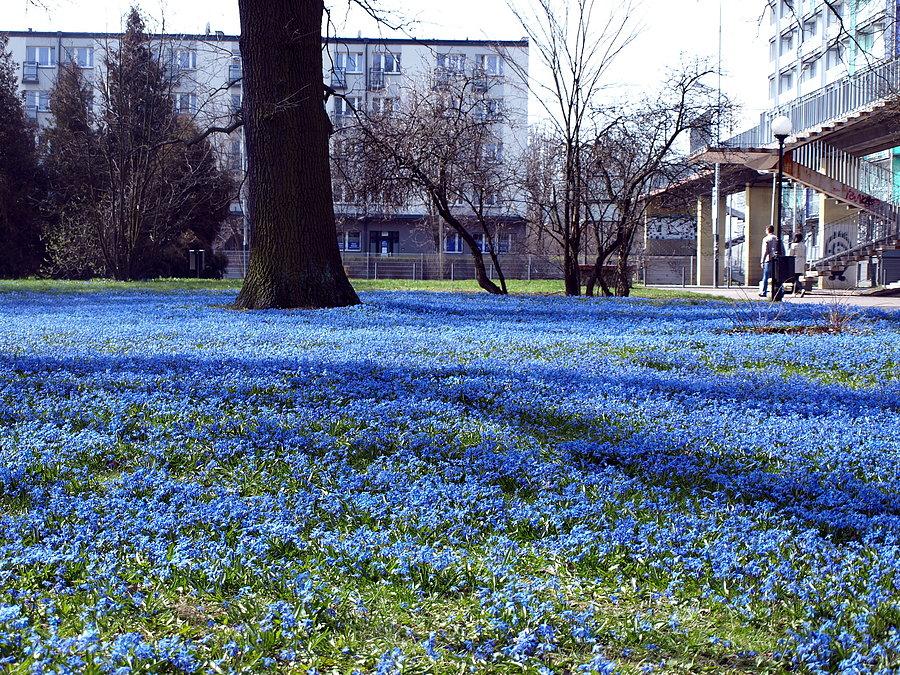 Park im. ks. bp. Michała Klepacza w Łodzi