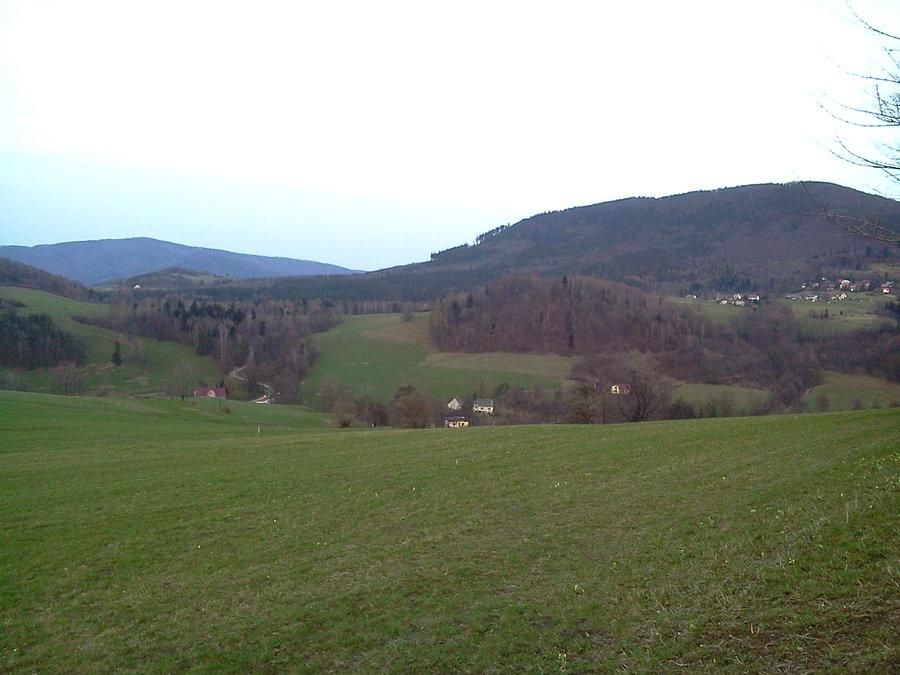 Widoczek