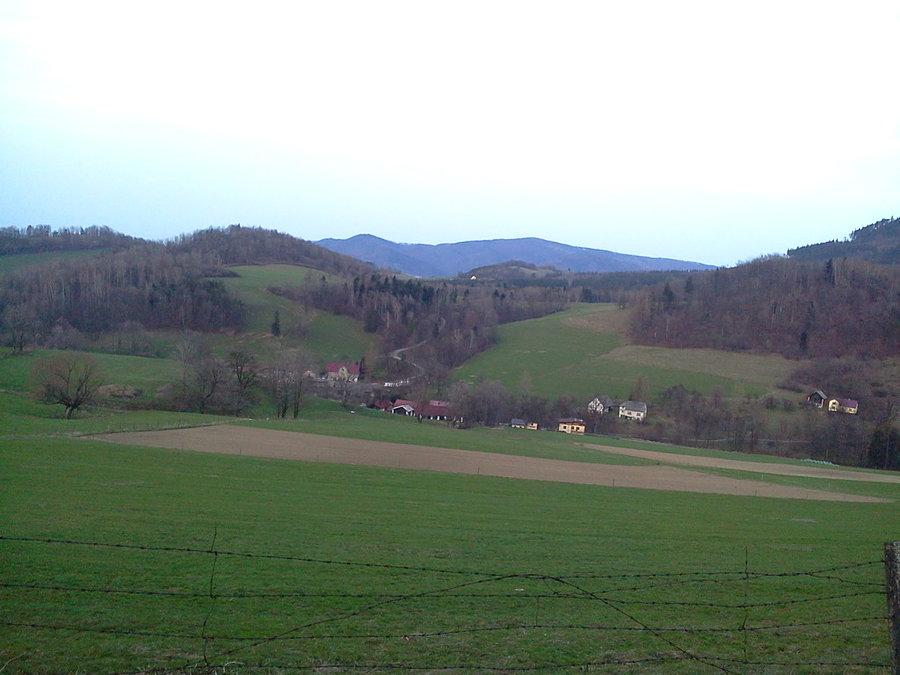 Widoczek