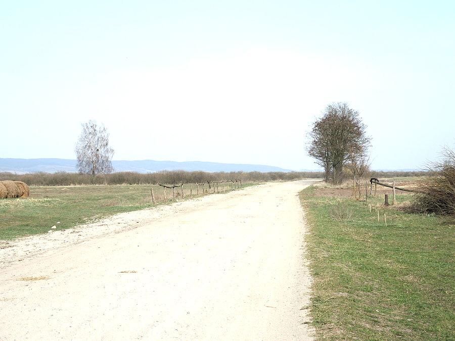 Droga terenowa Heliodorowo - Lipia Góra