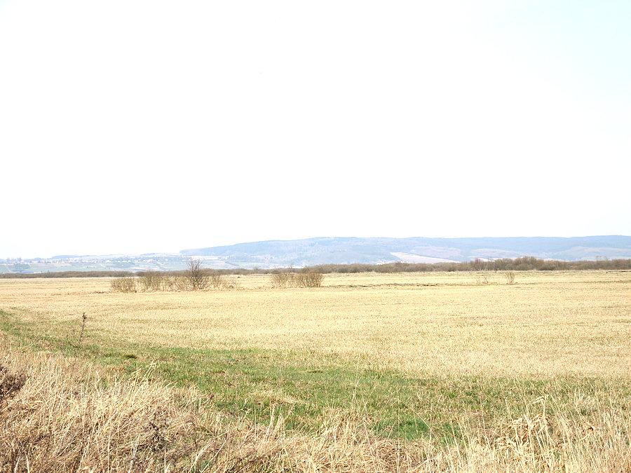 Widok na Dolinę Noteci