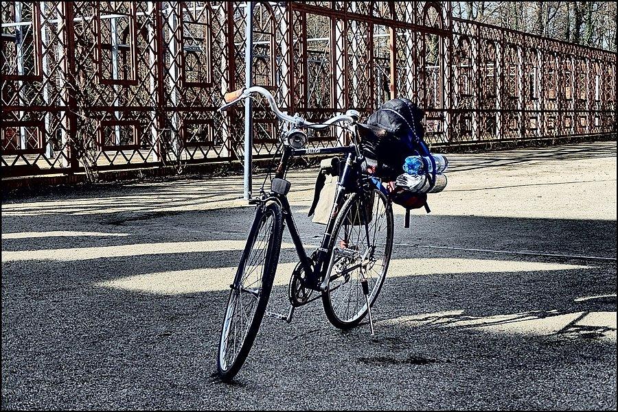 Raleigh Adama