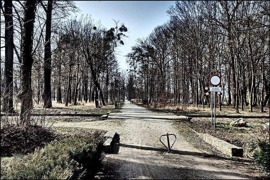 Zespół parkowy w Krośnicach
