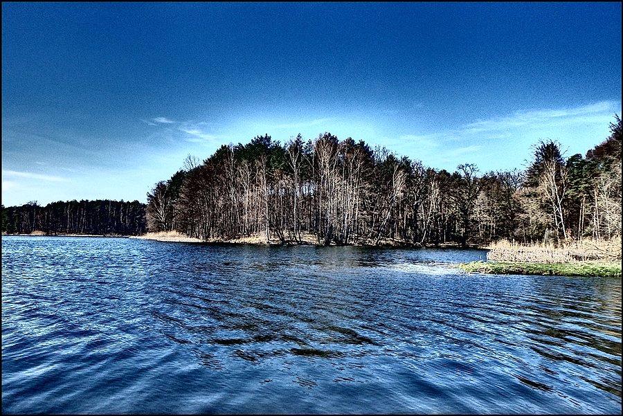 Postój nad stawem