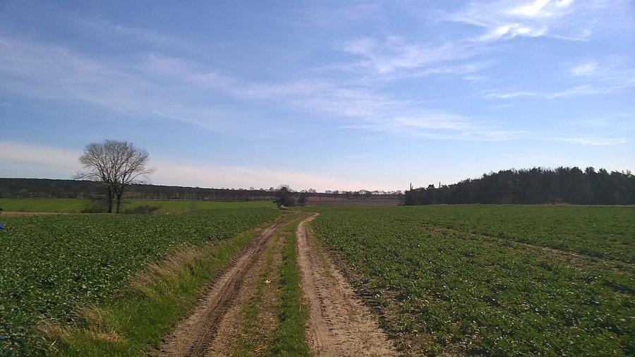Na lewo Szreniawa, na prawo Rosnówko