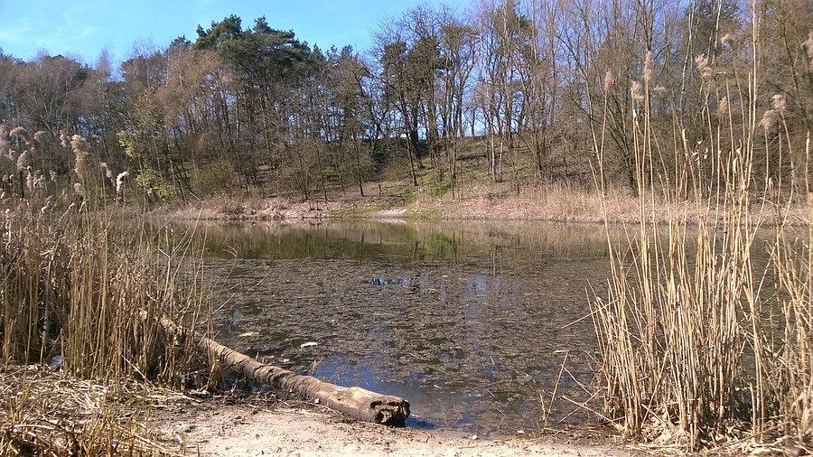 Jezioro Luk (albo Ług)