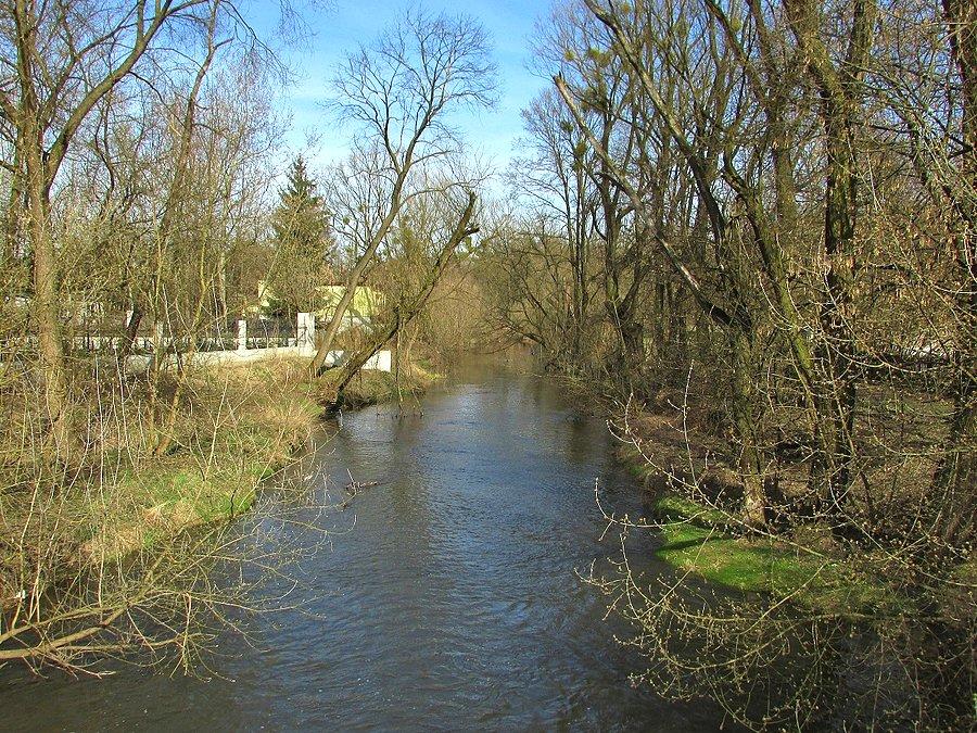 Jeziorka w Skolimowie