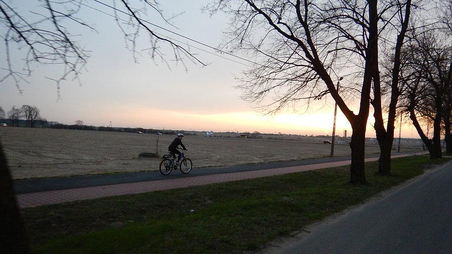 Szreniawa