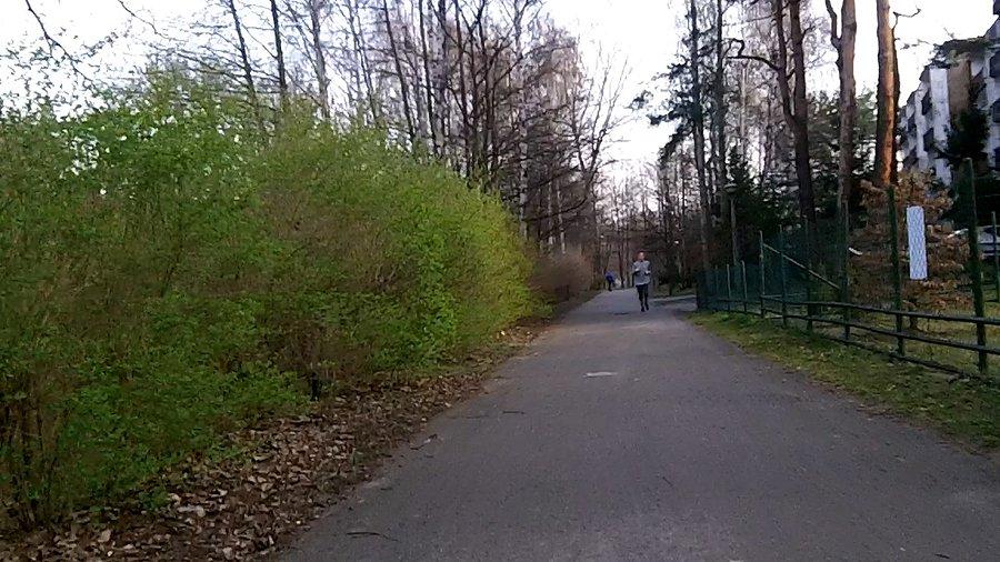 Zazieleniło się :)