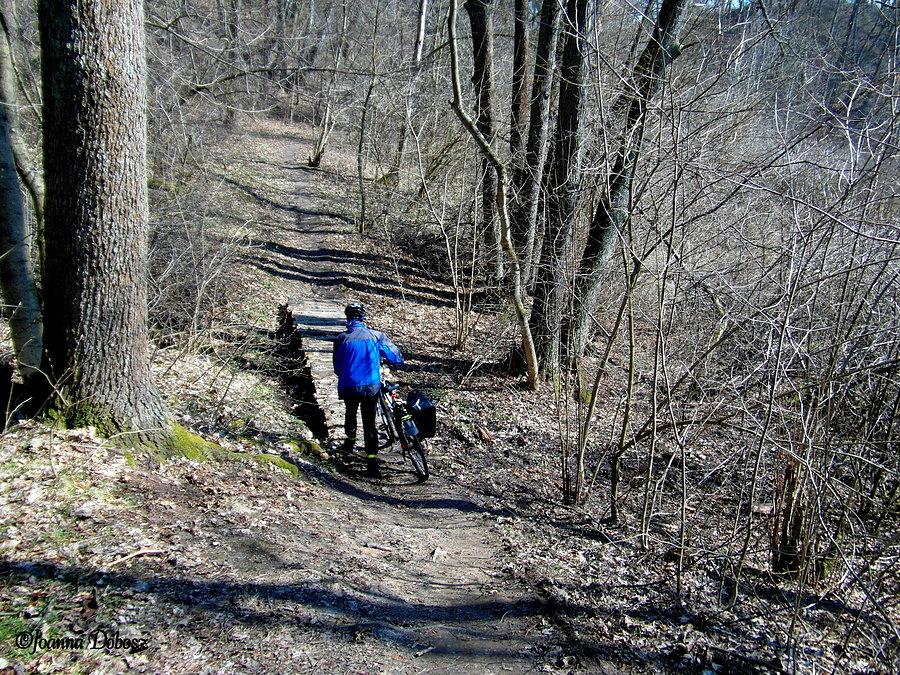 Park krajobrazowy nad rzeką Symsarną -Lidzbark Warmiński