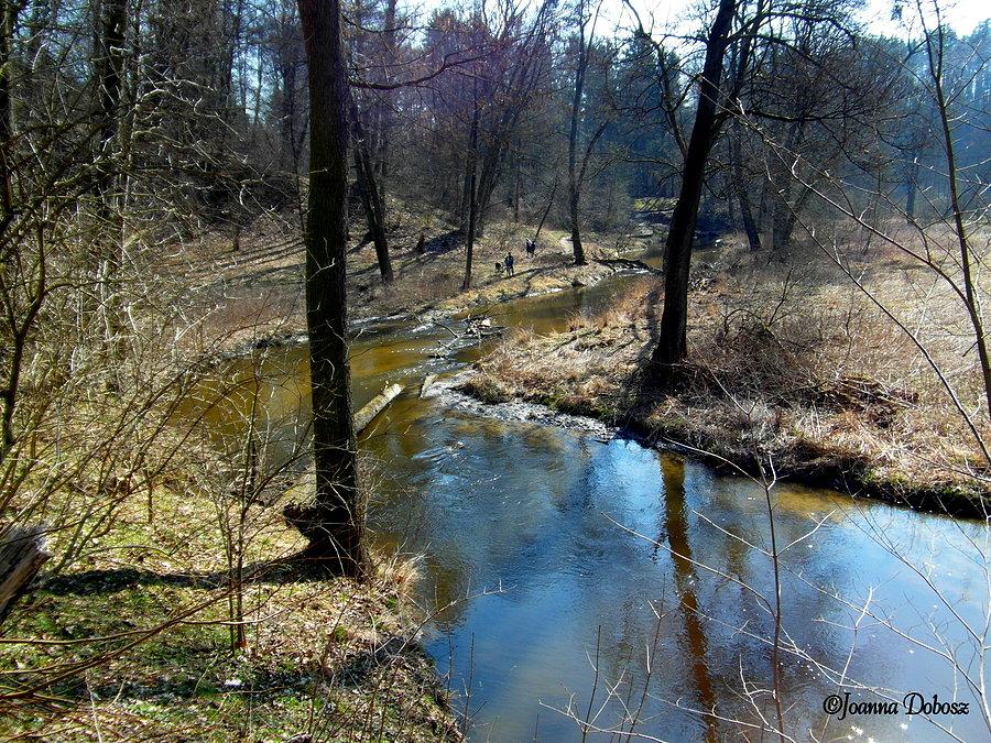 Park krajobrazowy nad rzeką Symsarną -Lidzbark Warmiński