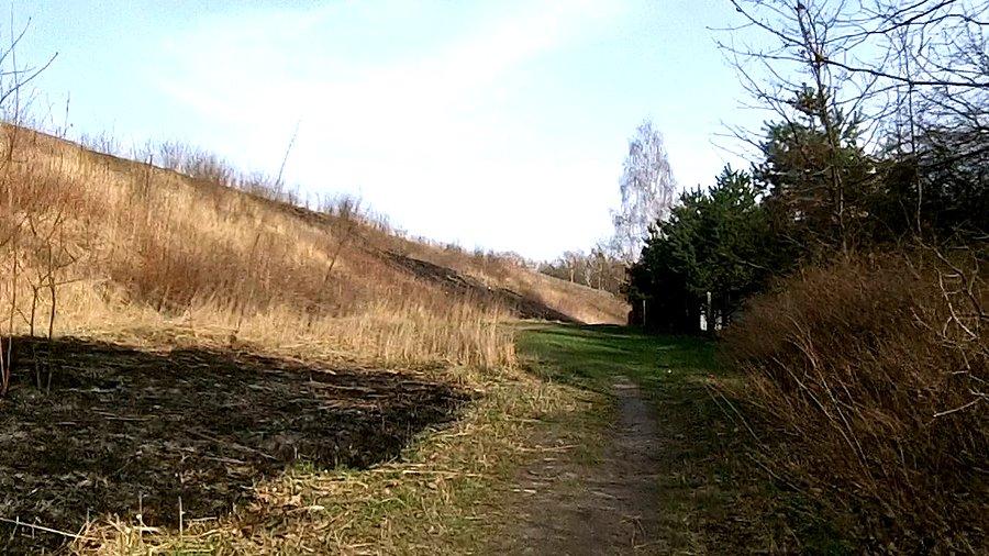Na niebieskim szlaku