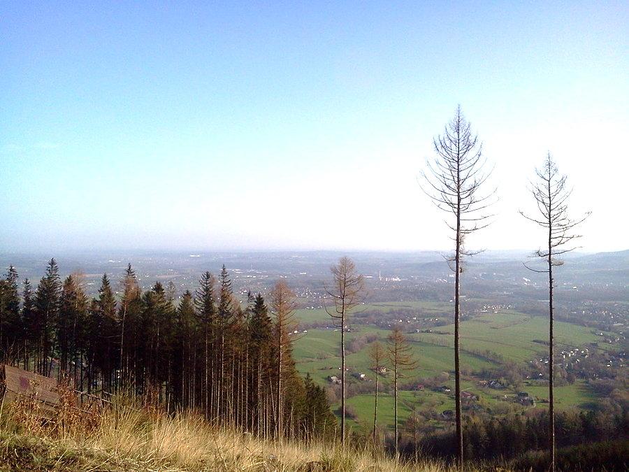Widoczki na zjeździe