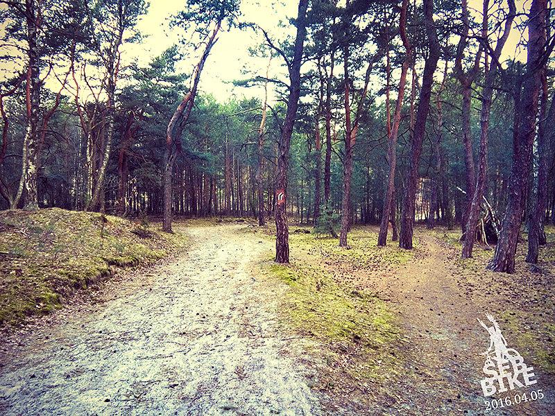 Kampinos
